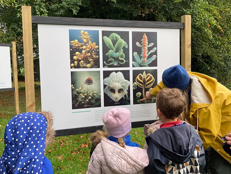Forest School - Exploring Earth Photo Exhibition