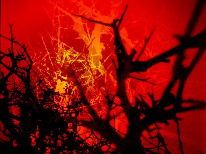 Jony Easterby & Pippa Taylo - In Praise of Shadows