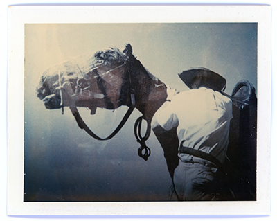 Polaroid, Sidney Nolan